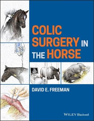 Colic Surgery in the Horse - David E. Freeman - cover