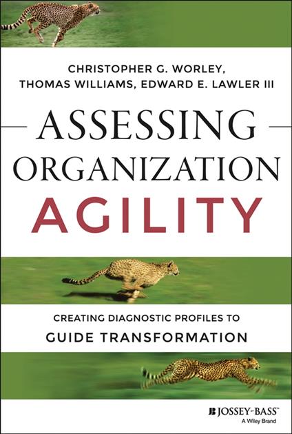 Assessing Organization Agility