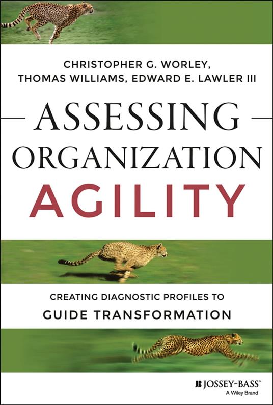 Assessing Organization Agility