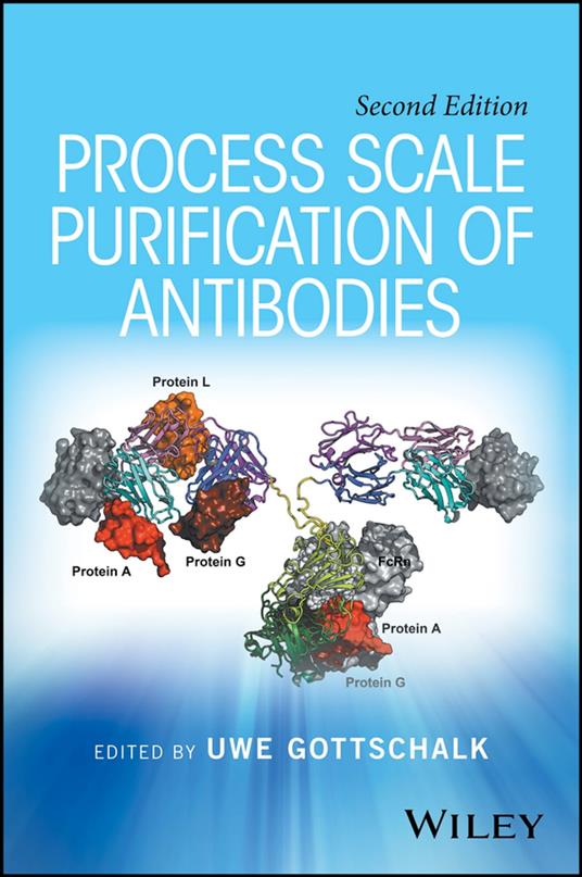 Process Scale Purification of Antibodies