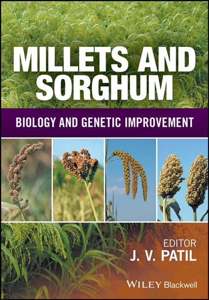 Millets and Sorghum