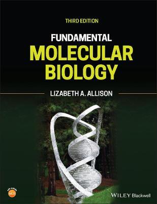 Fundamental Molecular Biology - Lizabeth A. Allison - cover