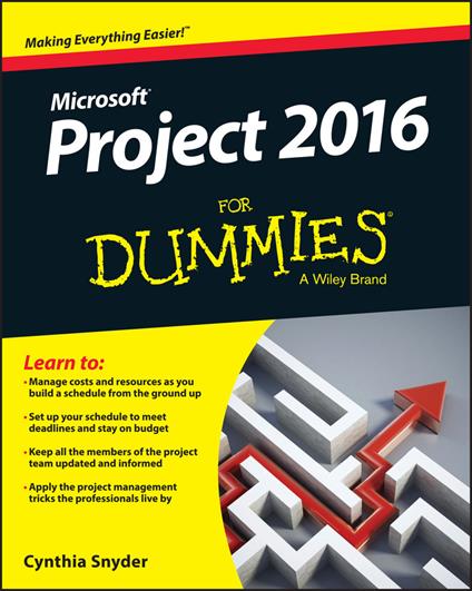 Project 2016 For Dummies - Cynthia Snyder Dionisio - cover