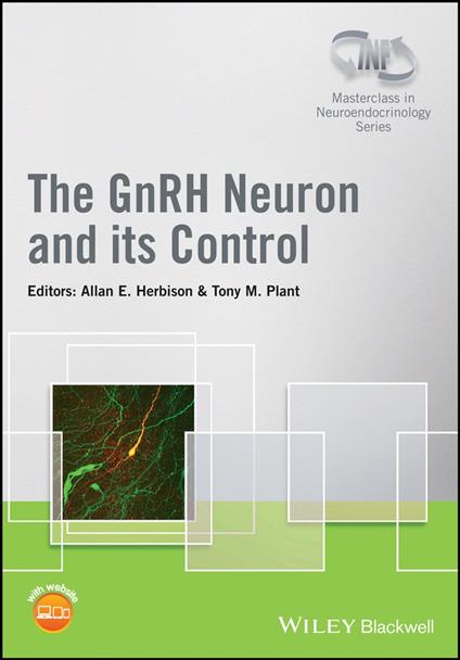 The GnRH Neuron and its Control