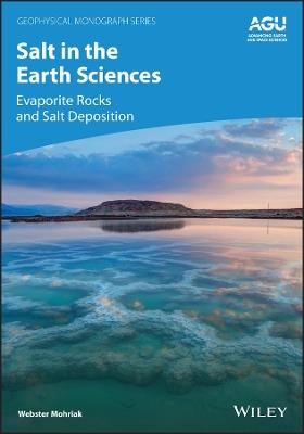 Salt in the Earth Sciences: Evaporite Rocks and Salt Deposition - Webster Mohriak - cover