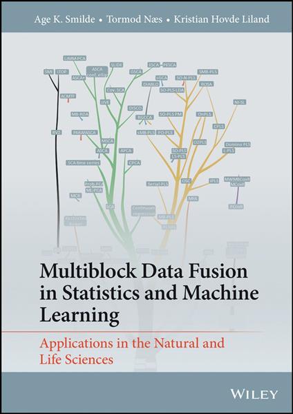 Multiblock Data Fusion in Statistics and Machine Learning
