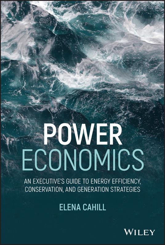 Power Economics: An Executive's Guide to Energy Efficiency, Conservation, and Generation Strategies - Elena Cahill - cover