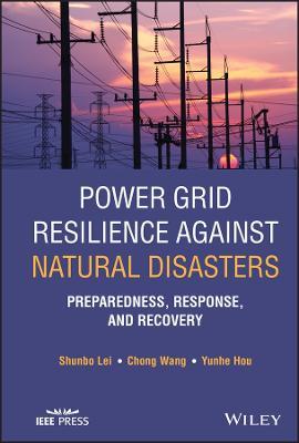 Power Grid Resilience against Natural Disasters: Preparedness, Response, and Recovery - Shunbo Lei,Chong Wang,Yunhe Hou - cover