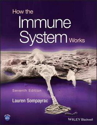 How the Immune System Works - Lauren M. Sompayrac - cover