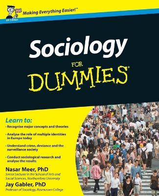Sociology For Dummies UK Edition - N Meer - cover