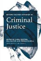 Beyond the Risk Paradigm in Criminal Justice - cover