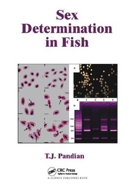 Sex Determination in Fish - T. J. Pandian - cover