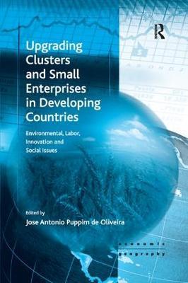 Upgrading Clusters and Small Enterprises in Developing Countries: Environmental, Labor, Innovation and Social Issues - cover