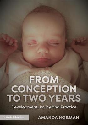 From Conception to Two Years: Development, Policy and Practice - Amanda Norman - cover