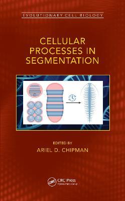 Cellular Processes in Segmentation - cover
