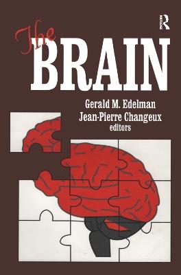 The Brain - Jean-Pierre Changeux,Gerald M. Edelman - cover