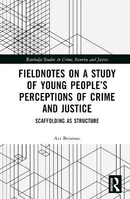 Fieldnotes on a Study of Young People’s Perceptions of Crime and Justice: Scaffolding as Structure - Avi Brisman - cover