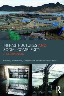 Infrastructures and Social Complexity: A Companion - cover