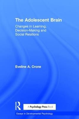 The Adolescent Brain: Changes in learning, decision-making and social relations - Eveline A. Crone - cover