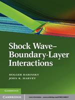 Shock Wave-Boundary-Layer Interactions
