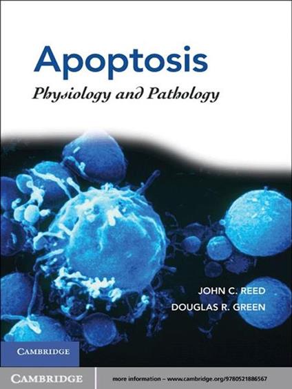 Apoptosis