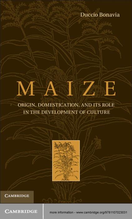 Maize