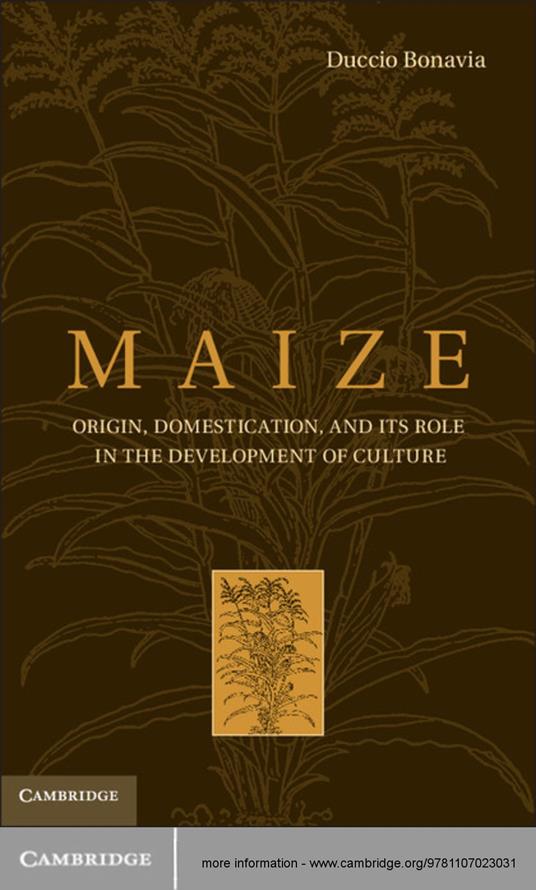 Maize