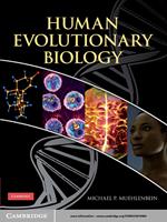 Human Evolutionary Biology