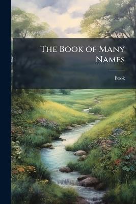 The Book of Many Names - Book - cover