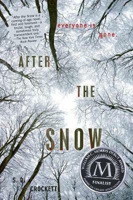 After the Snow - S D Crockett - cover