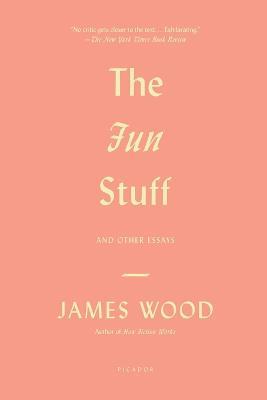 Fun Stuff - James Wood - cover
