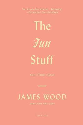 Fun Stuff - James Wood - cover