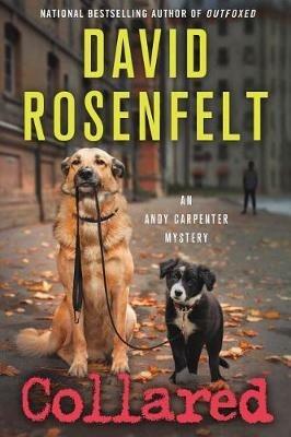 Collared: An Andy Carpenter Mystery - David Rosenfelt - cover