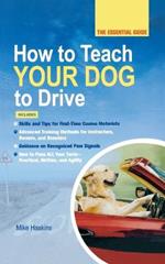 How to Teach Your Dog to Drive: The Essential Guide