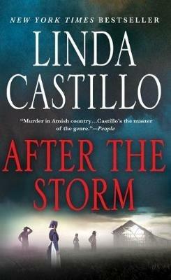 After the Storm - Linda Castillo - cover