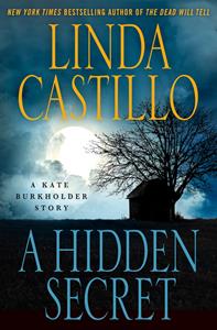 Ebook A Hidden Secret Linda Castillo