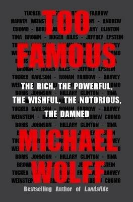 Too Famous: The Rich, the Powerful, the Wishful, the Notorious, the Damned - Michael Wolff - cover