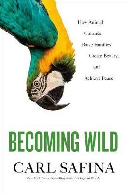 Becoming Wild: How Animal Cultures Raise Families, Create Beauty, and Achieve Peace - Carl Safina - cover