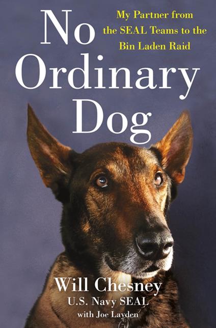 No Ordinary Dog