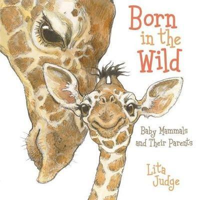 Born in the Wild: Baby Animals and Their Parents - Lita Judge - cover