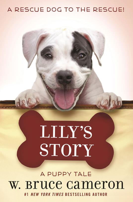 Lily's Story - Bruce Cameron W. - ebook