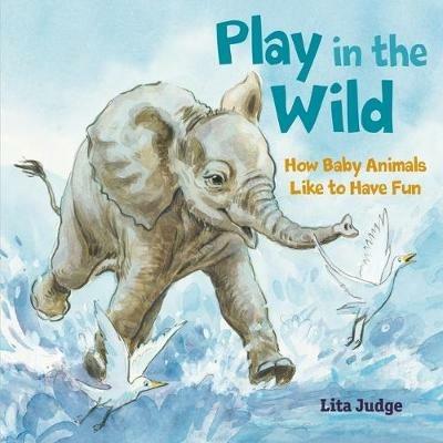 Play in the Wild: How Baby Animals Like to Have Fun - Lita Judge - cover