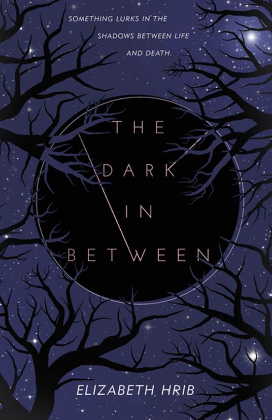 The Dark In-Between - Elizabeth Hrib - ebook