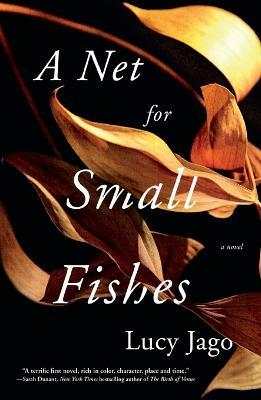 A Net for Small Fishes - Lucy Jago - cover