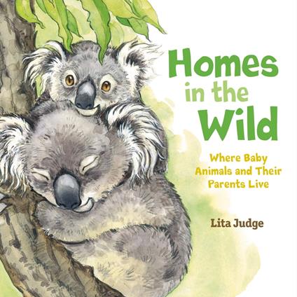 Homes in the Wild - Lita Judge - ebook