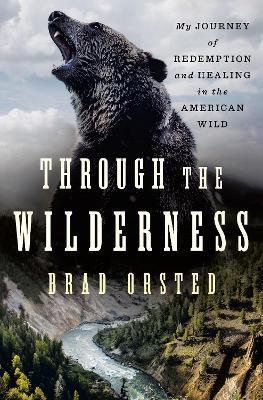Through the Wilderness: My Journey of Redemption and Healing in the American Wild - Brad Orsted - cover