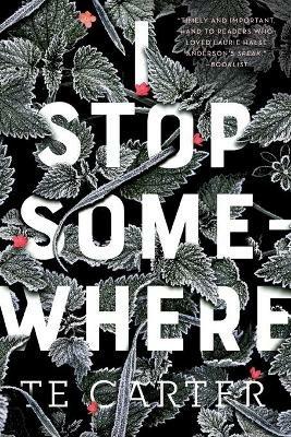 I Stop Somewhere - Te Carter - cover