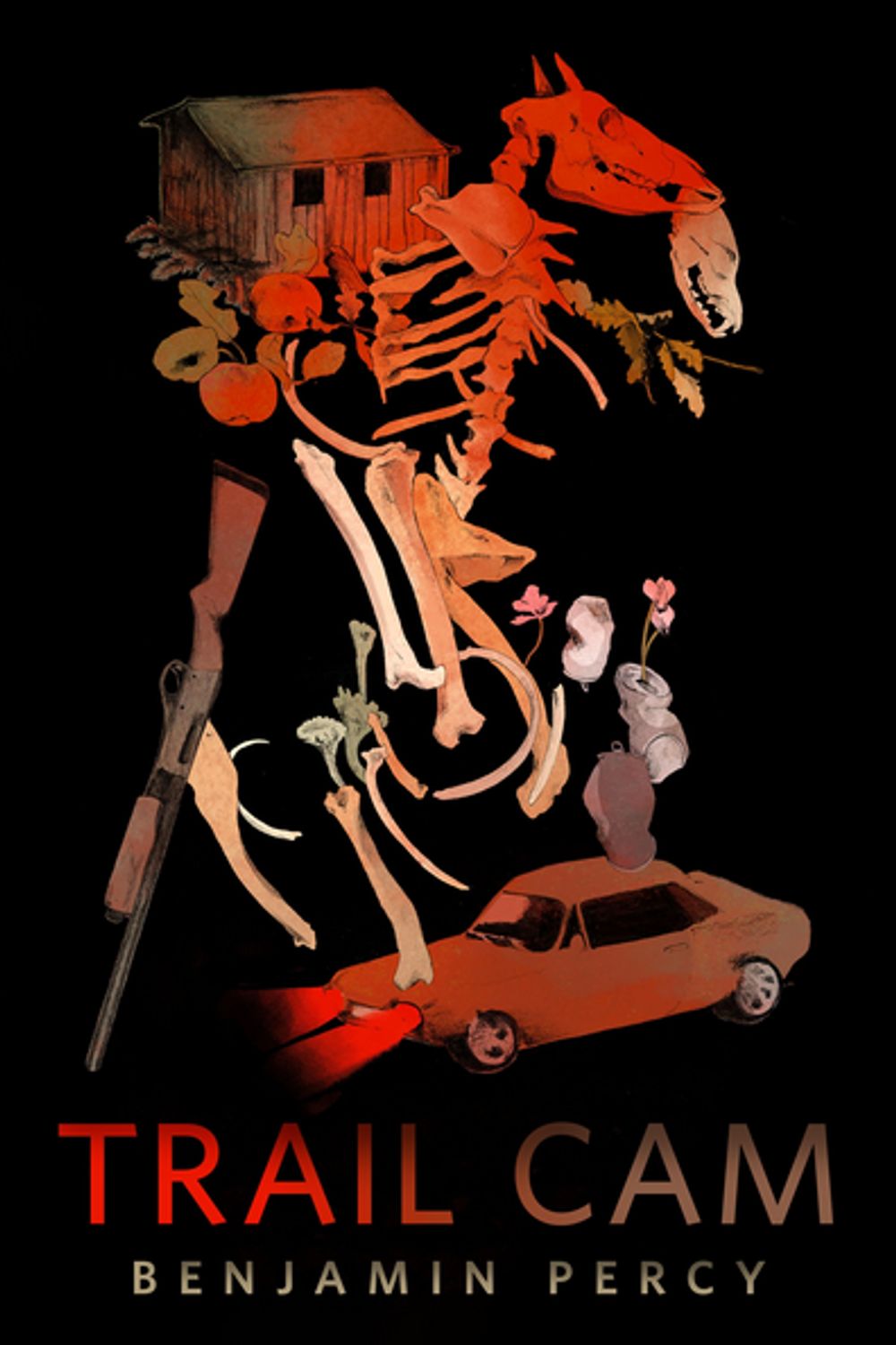 ibs