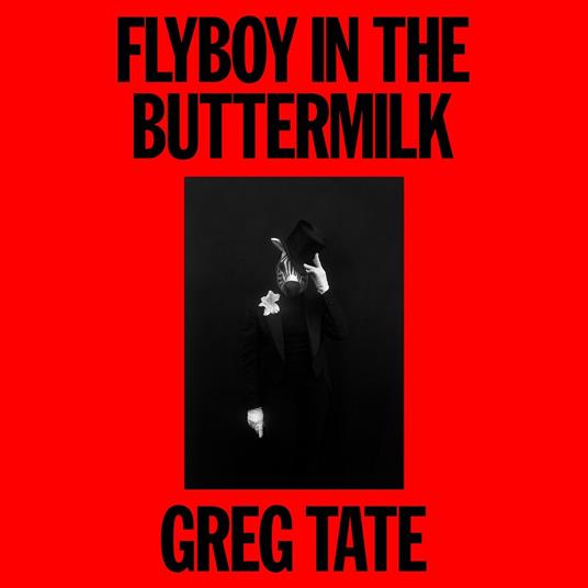 Flyboy in the Buttermilk