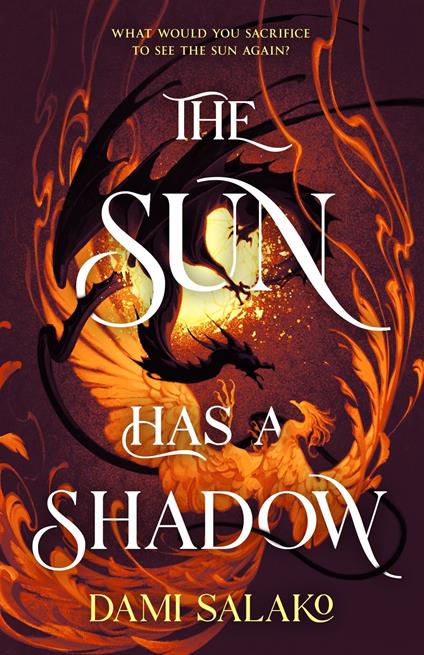 The Sun Has a Shadow - Dami Salako - ebook